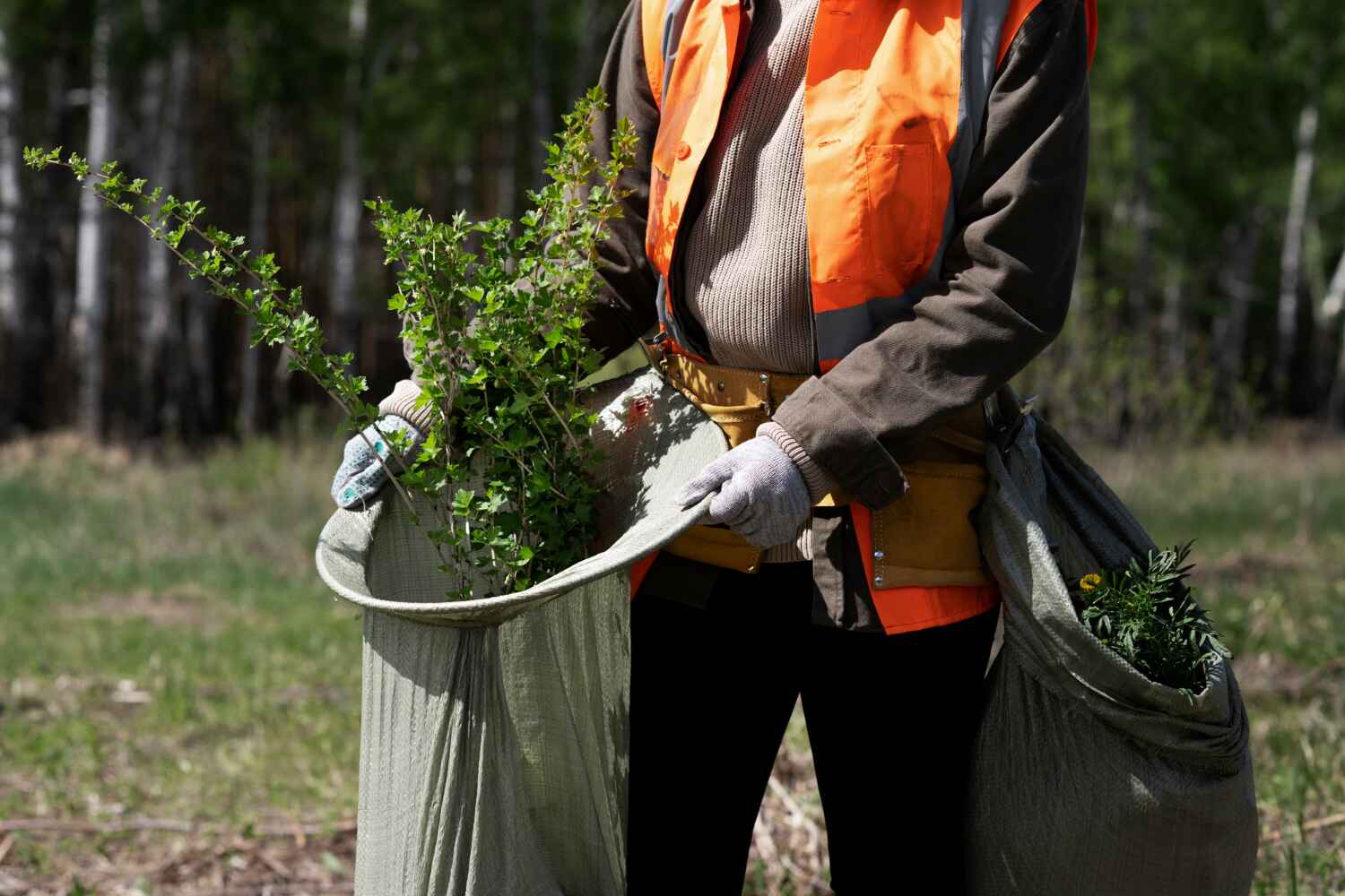 Best Tree Root Removal  in Atlanta, GA